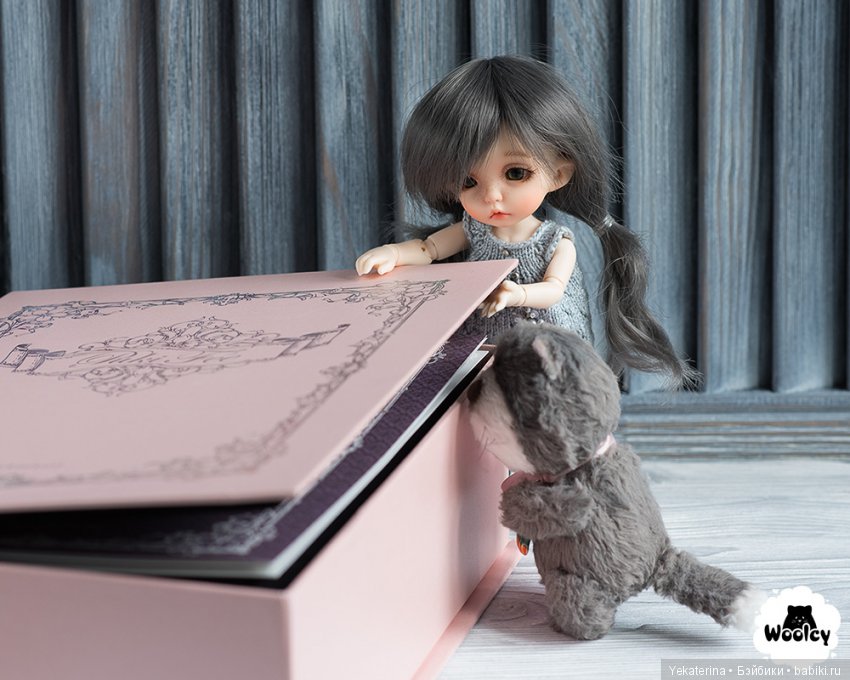 Приезд — Фотоистории с куклами BJD (БЖД): сериалы (фото 2)