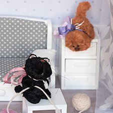 Котики, такие котики