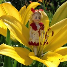 Не стряхни пыльцу с крыльев бабочки.