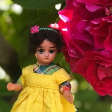 Кукла дружбы.