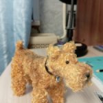 Эльдертерьер