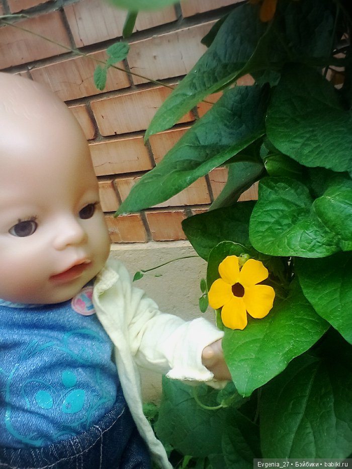 Давайте знакомиться — Пупсы Baby Born и Baby Annabell (Zapf): интерактивные (фото 4)