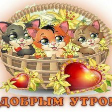 Наше ленивое, капризное утро