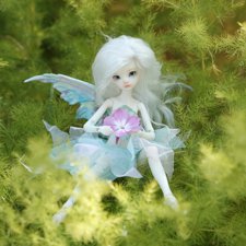 Из жизни бабочек