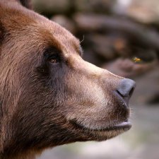 Набор кружек к 23 февраля Строитель и Лесник