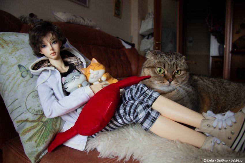 Котики — Куклы Soom (Сум): BJD (БЖД) (фото 3)