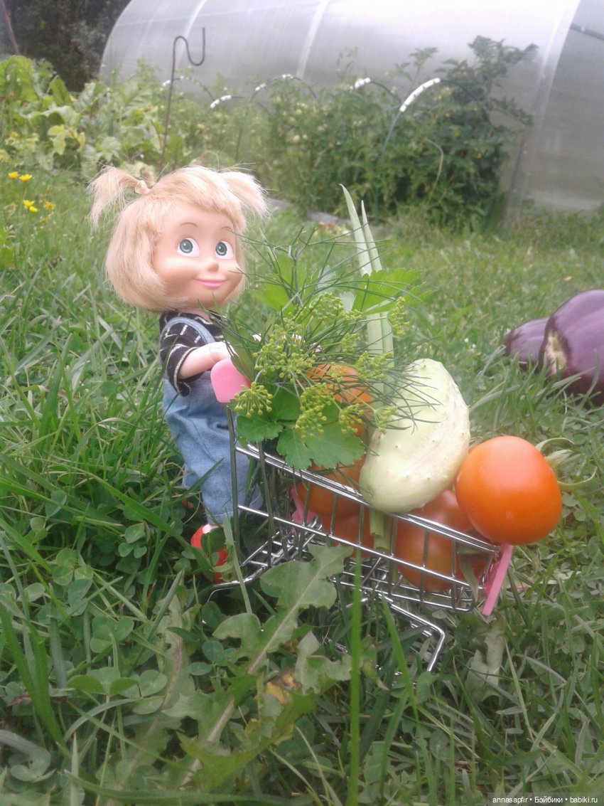 Машкины дачные приключения