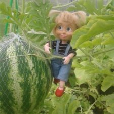 Машкины дачные приключения