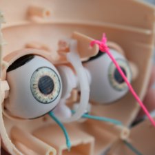 Не переключаются глазки у Блайз , прошу помощи у знатоков