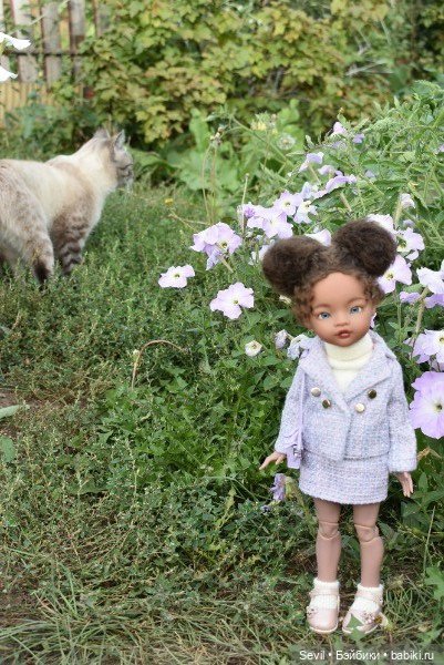 Айка и усатые Осенние цветы (фото 3)