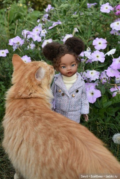 Айка и усатые Осенние цветы (фото 7)