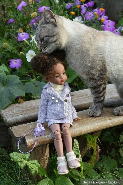 Айка и усатые Осенние цветы (фото 5)