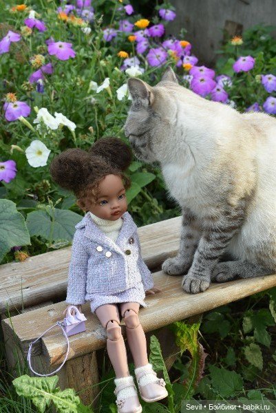 Айка и усатые Осенние цветы (фото 6)