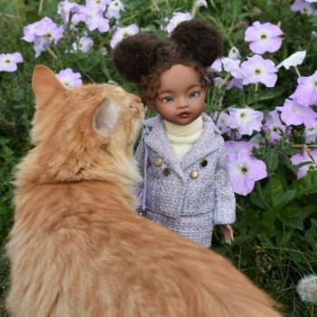 Айка и усатые Осенние цветы