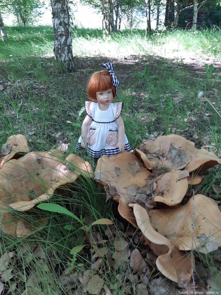 Летние лесные грибочки