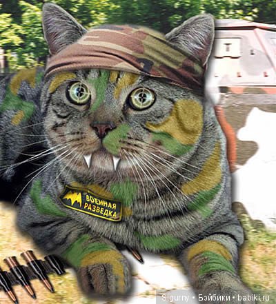 Давайте поздравим мужчин — Болталка и разговоры обо всем: жизнь (фото 8)