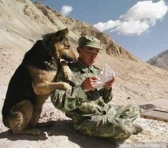 Давайте поздравим мужчин — Болталка и разговоры обо всем: жизнь (фото 4)