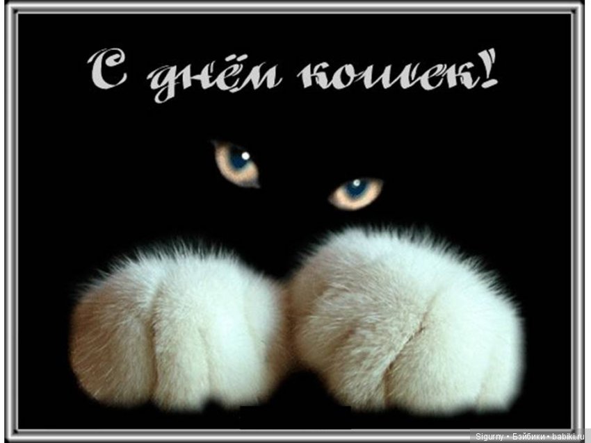 Сегодня Всемирный День кошек