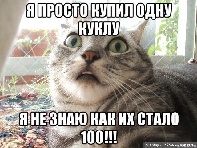 Сегодня Всемирный День кошек