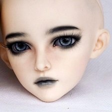 Mirven Feeple60 FairyLand