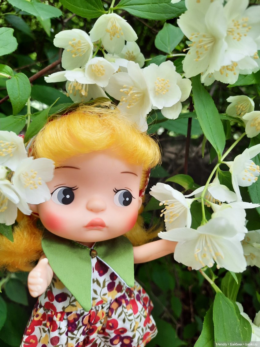 Ида в сказочном саду — Азиатские виниловые куклы (разное): Китай (фото 6)