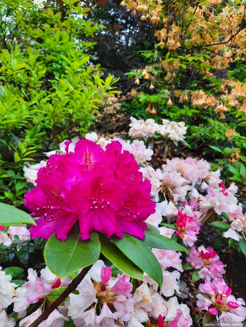 Ида в сказочном саду — Азиатские виниловые куклы (разное): Китай