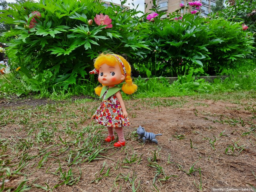 Ида в сказочном саду — Азиатские виниловые куклы (разное): Китай