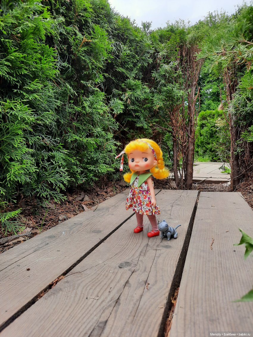 Ида в сказочном саду — Азиатские виниловые куклы (разное): Китай (фото 9)