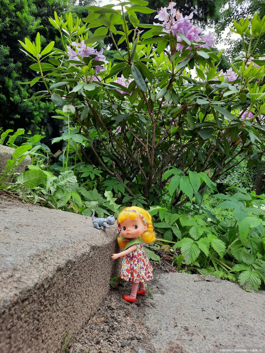 Ида в сказочном саду — Азиатские виниловые куклы (разное): Китай (фото 3)