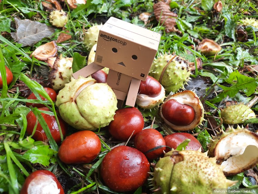 Собиратели каштанов или Осенний дебют (фото 4)