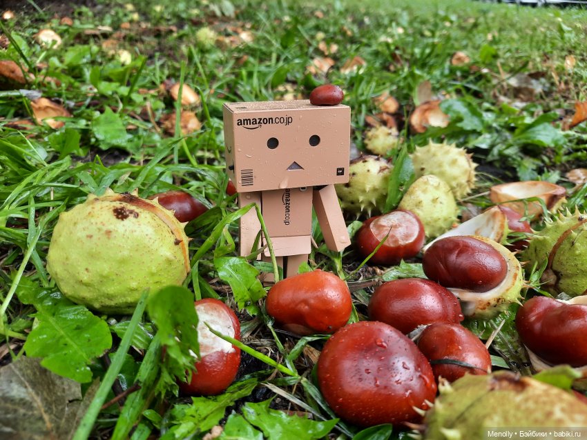 Собиратели каштанов или Осенний дебют (фото 2)