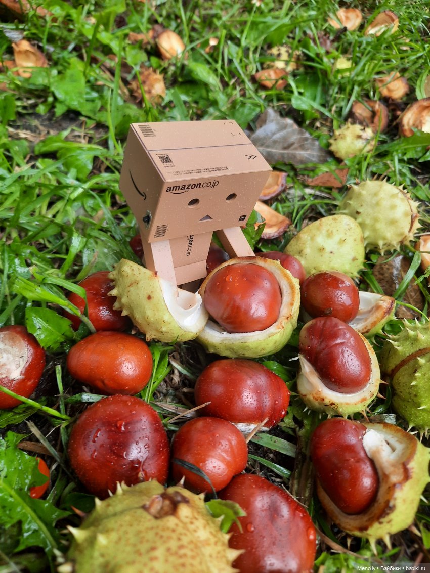 Собиратели каштанов или Осенний дебют (фото 8)