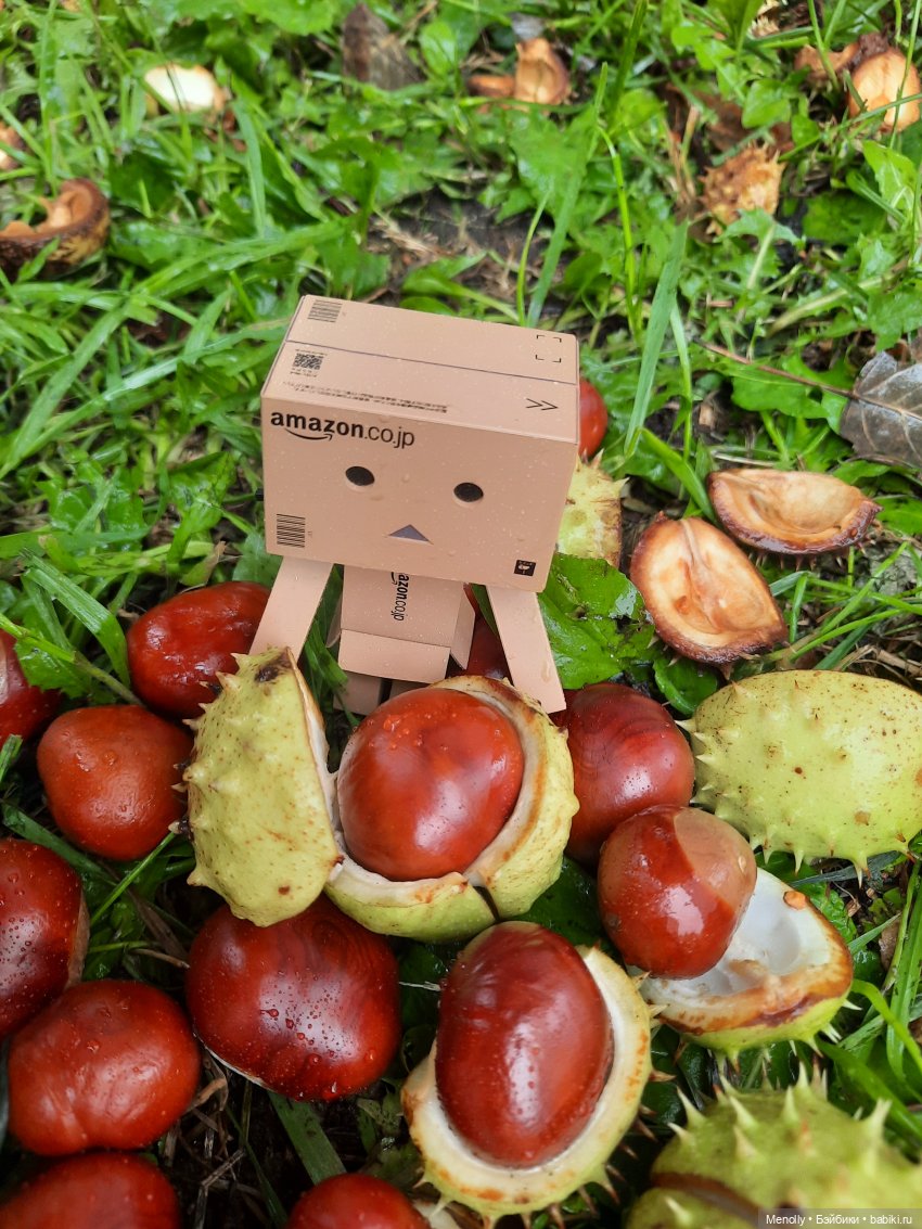 Собиратели каштанов или Осенний дебют (фото 9)