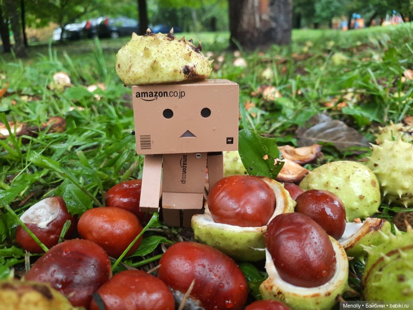 Собиратели каштанов или Осенний дебют (фото 10)