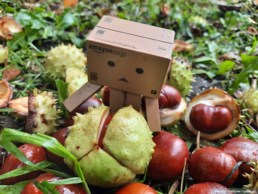 Собиратели каштанов или Осенний дебют (фото 5)