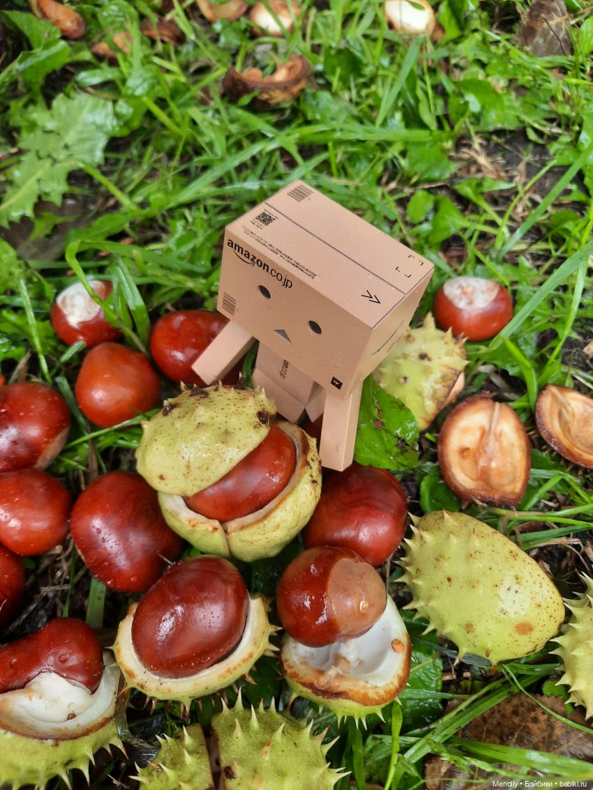 Собиратели каштанов или Осенний дебют (фото 7)