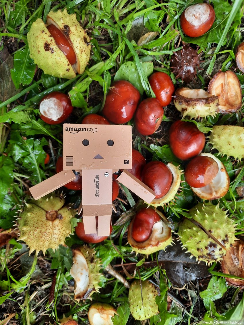 Собиратели каштанов или Осенний дебют (фото 3)