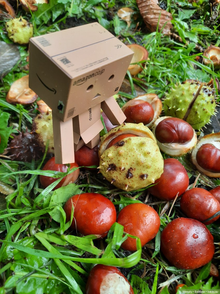 Собиратели каштанов или Осенний дебют (фото 6)