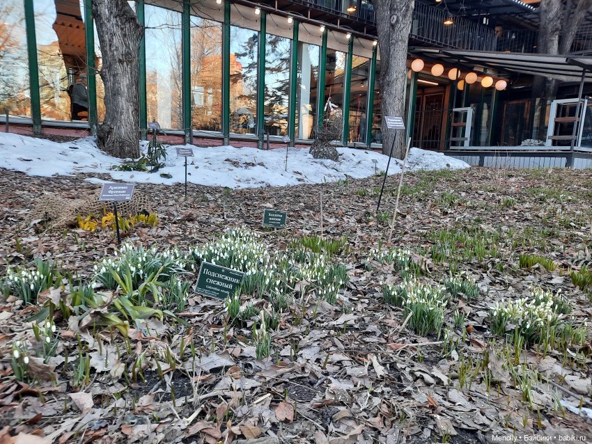 Репетиция весны — Культура (фото 4)