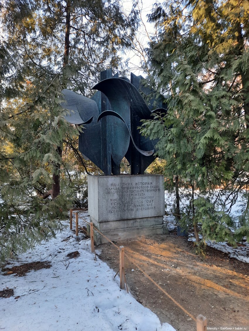 Репетиция весны — Культура (фото 5)