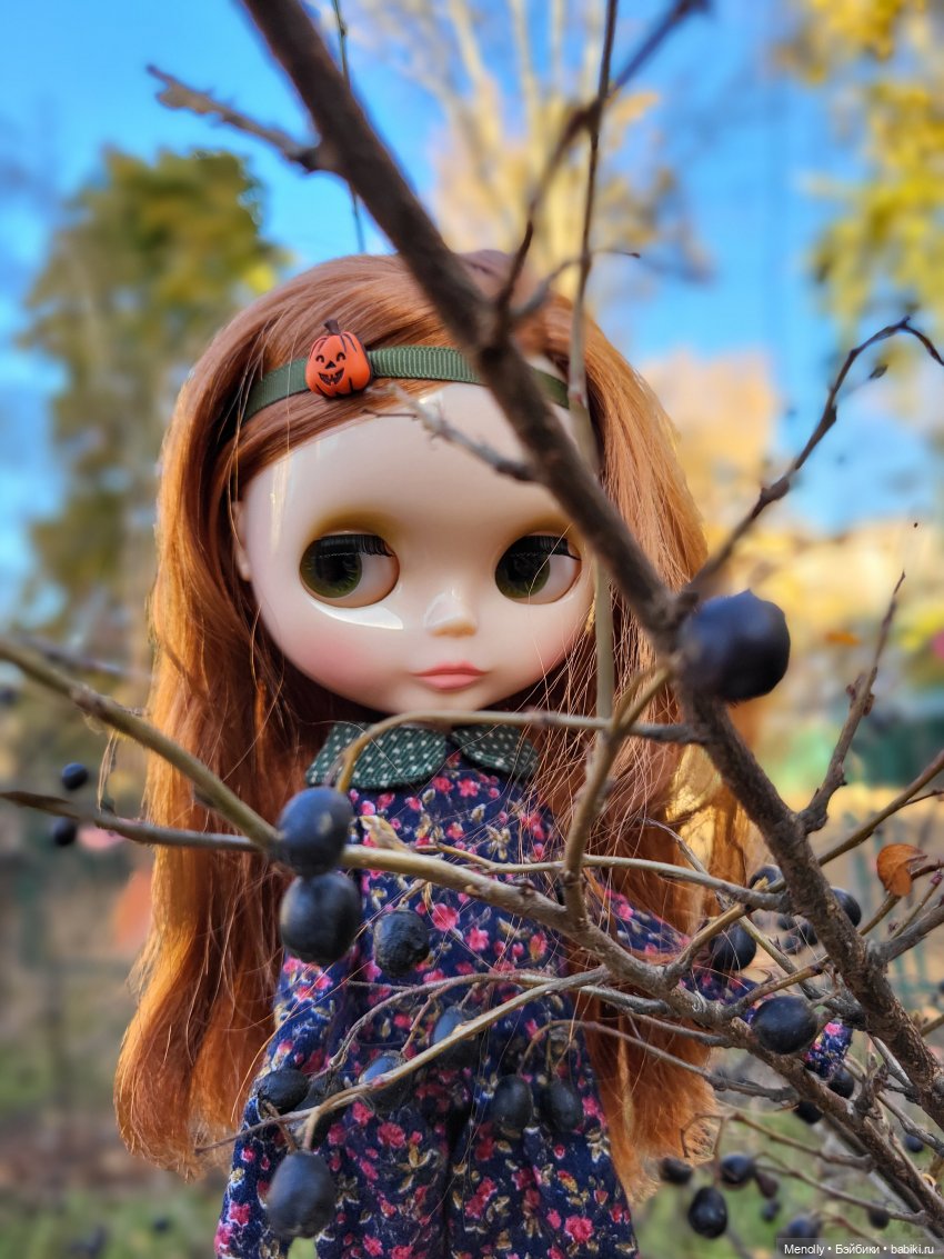 Осенние портреты — Оригинальные куклы Blythe (Блайз): Takara (фото 4)