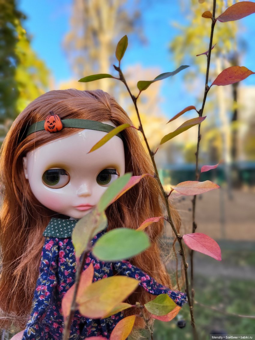 Осенние портреты — Оригинальные куклы Blythe (Блайз): Takara