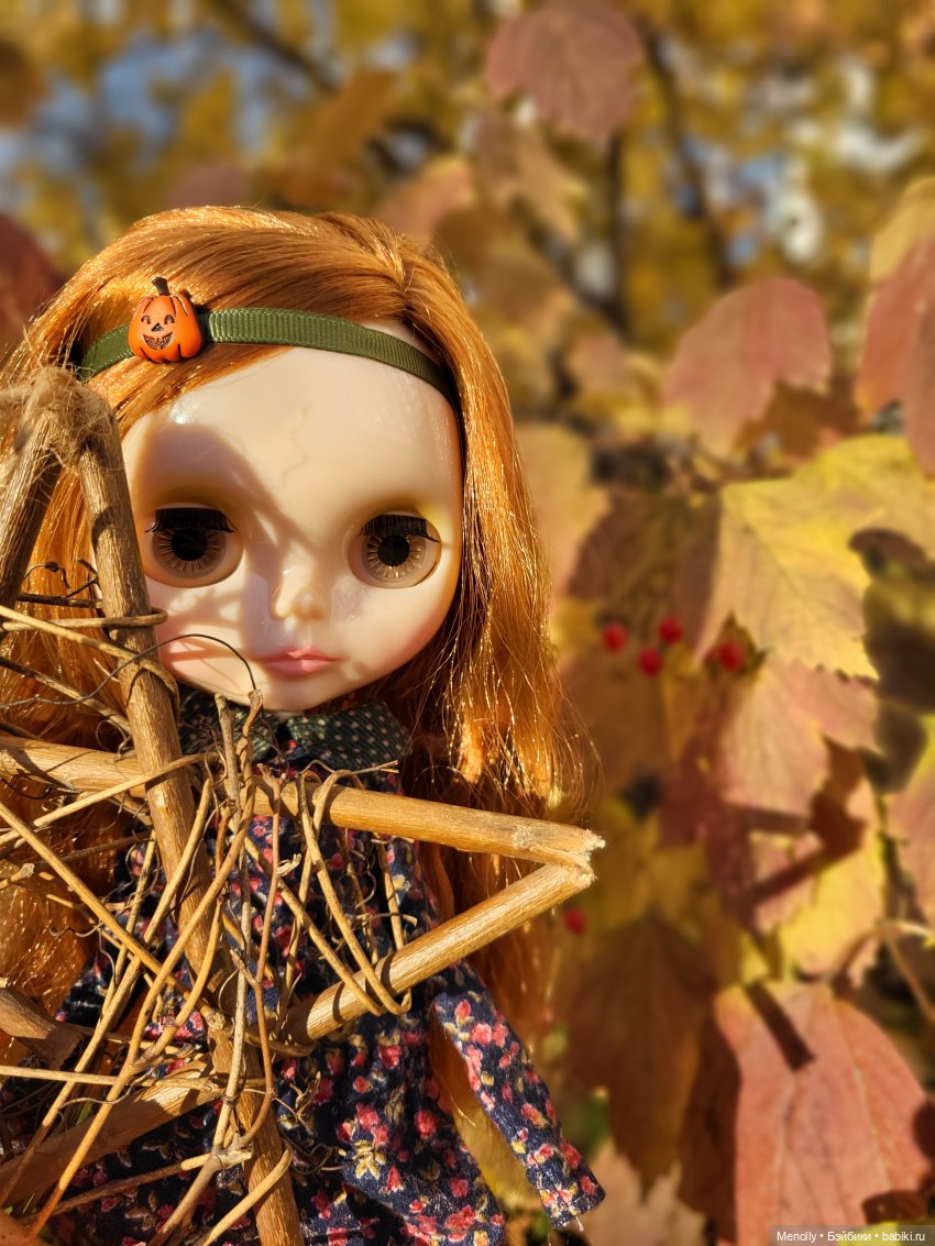 Осенние портреты — Оригинальные куклы Blythe (Блайз): Takara (фото 5)