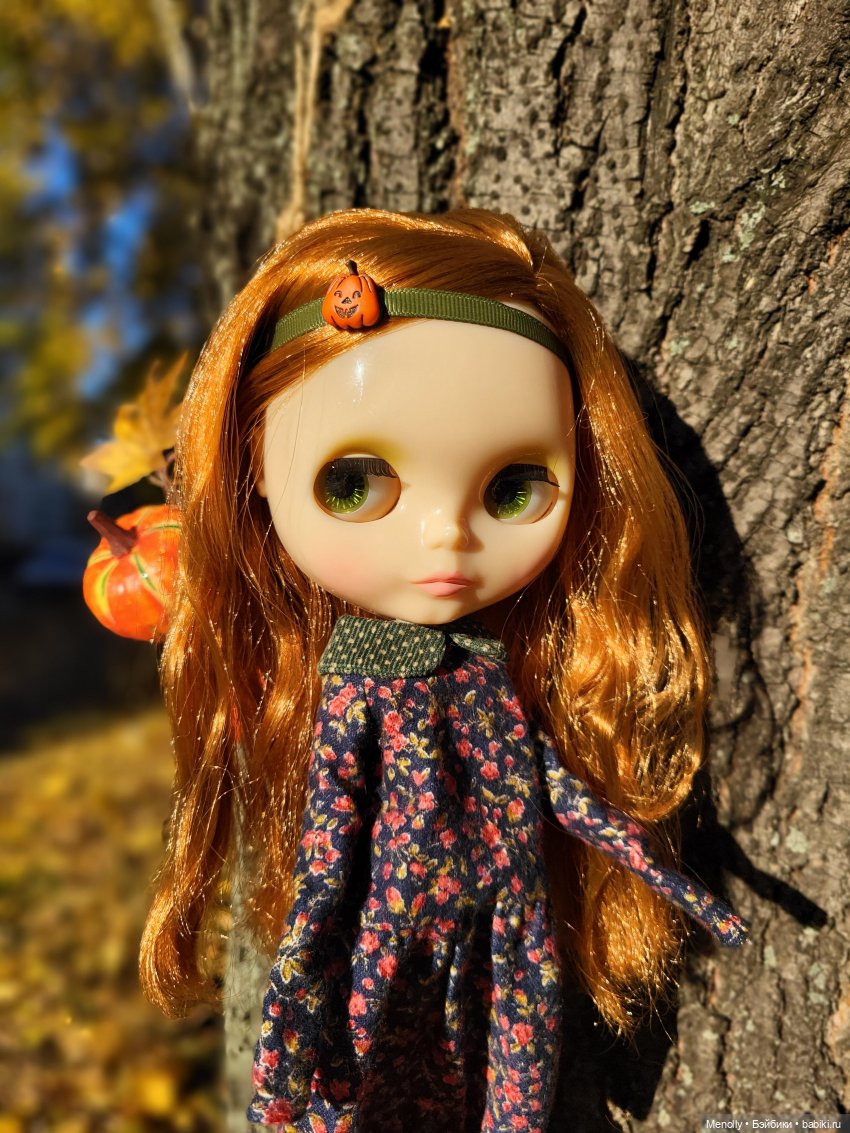 Осенние портреты — Оригинальные куклы Blythe (Блайз): Takara (фото 2)