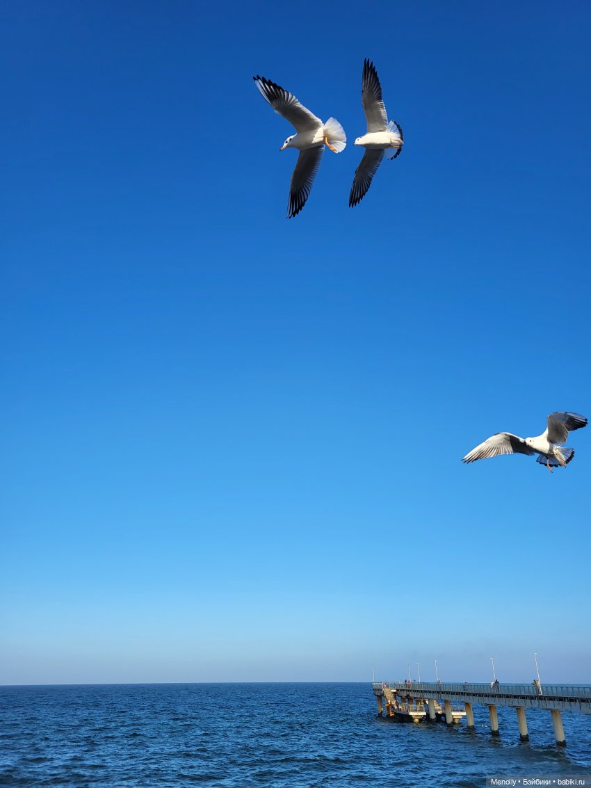 Путешествие в сказку — Куклы Rosemarie Anna Muller (Мюллер): Вихтели (Wichtel)