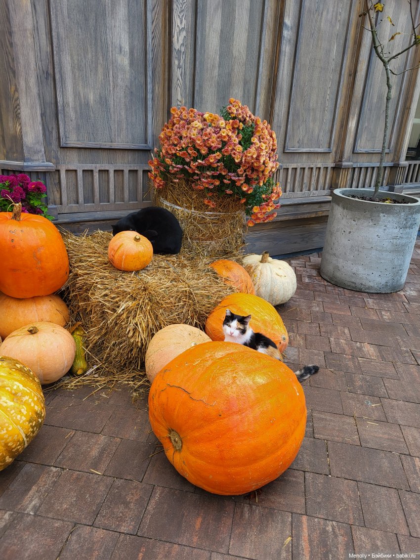 Путешествие в сказку — Куклы Rosemarie Anna Muller (Мюллер): Вихтели (Wichtel) (фото 2)