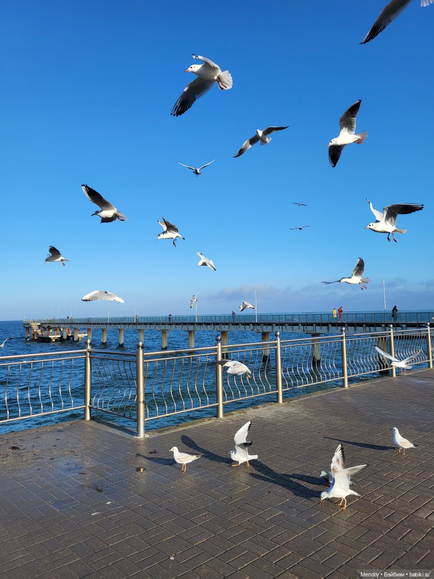 Путешествие в сказку — Куклы Rosemarie Anna Muller (Мюллер): Вихтели (Wichtel)