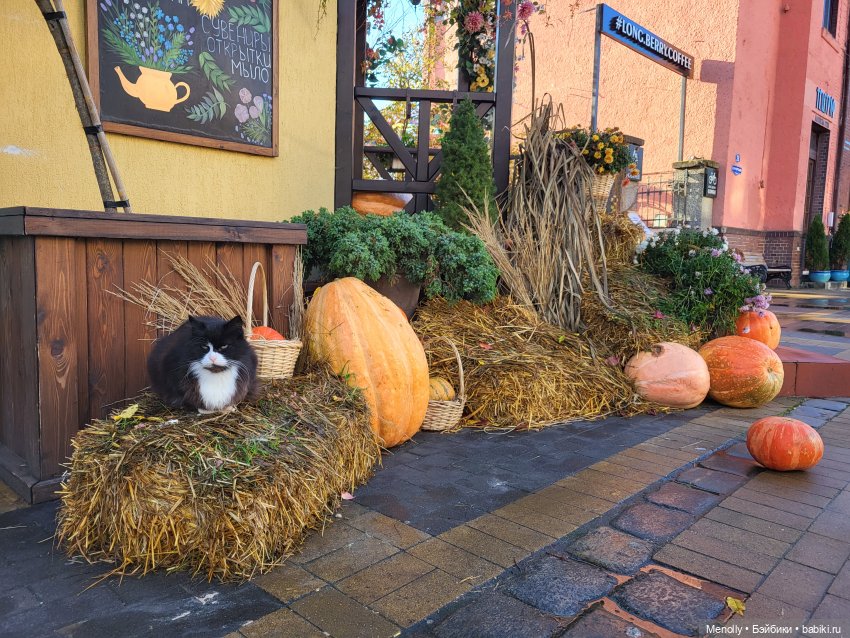Путешествие в сказку — Куклы Rosemarie Anna Muller (Мюллер): Вихтели (Wichtel)