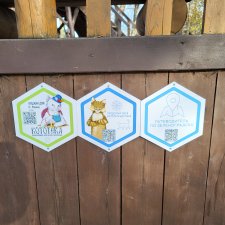 Кошачий город Зеленоградск