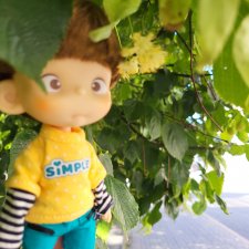 Семь верст не крюк?